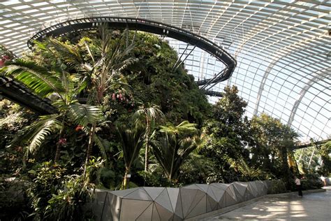 Step into a Domed Mountain Realm at Cloud Forest, Gardens by the Bay, Singapore | Will Fly for Food