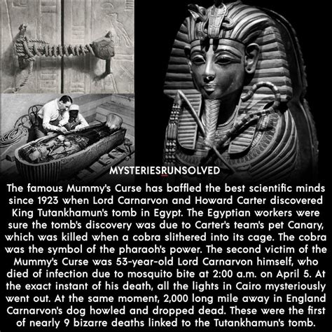 The Curse Of The Pharaohs – A Dark Secret Behind The Mummy Of Tutankhamun. in 2020 | History ...