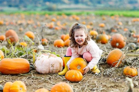 How to Pick a Pumpkin: 5 Tips for Picking the Perfect Pumpkins at the Pumpkin Patch | Activities ...