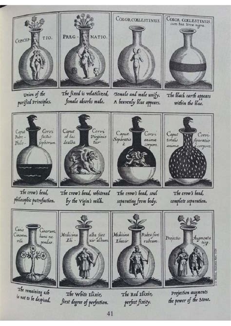 The Alchemist's Kitchen Extraordinary Potions & Curious Notions - Guy ...