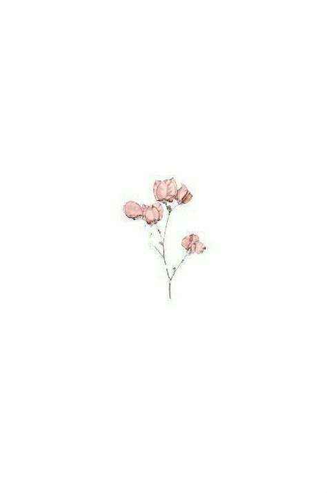 Aesthetic and minimalistic Aesthetic white background images for your ...