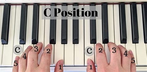 Handpositie op de Piano: waar en hoe het correct te doen | pianotels ...