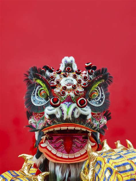 Lion Dance Costume stock foto. Image of beklim, saldo - 80127332