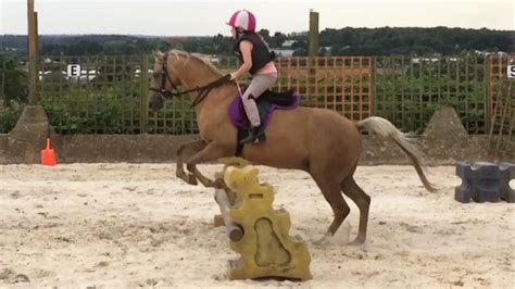 Crowdfunding to buy Show Jumping Equipment for the Kids at our local yard. on JustGiving