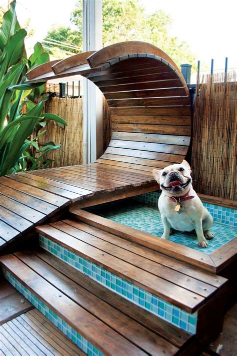 8 Easy DIY Dog Pool Ideas • Its Overflowing