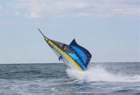 Crazy Submersible Watercraft Looks Like a Sailfish, Lets You Perform Aerial Tricks - HIGH T3CH