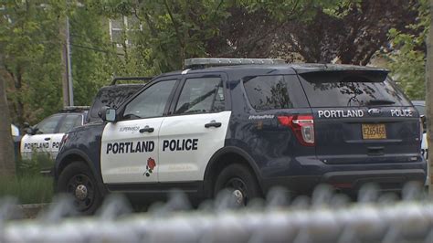 Portland Police Bureau investigates officer's use of force while ...