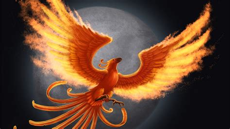 Phoenix Bird Wallpapers (80+ images)