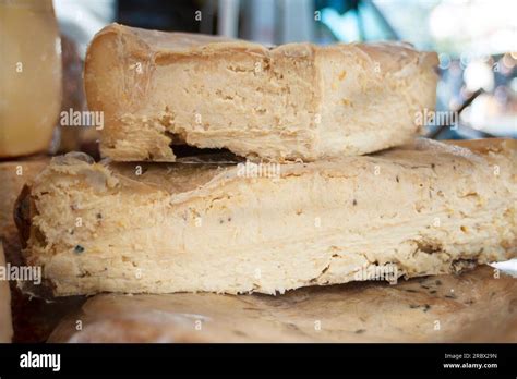 Casu Marzu, traditional Sardinian sheep milk cheese that contains live insect larvae (maggots ...