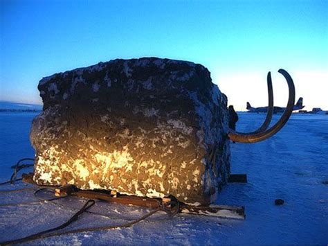 That’s no ordinary block of ice. The Jarkov Mammoth, shortly after it was found in 1997 ...