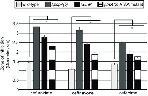 Disruption of CroR-dependent regulation of pbp4(5) decreases... | Download Scientific Diagram