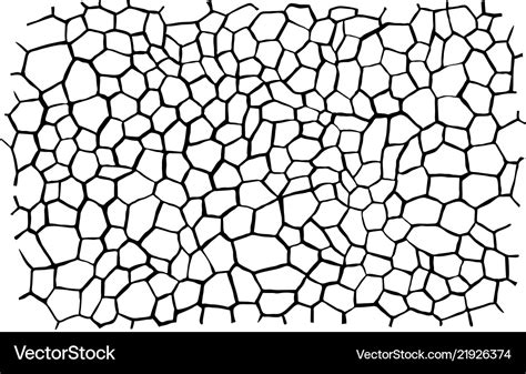 Wild stone texture Royalty Free Vector Image - VectorStock