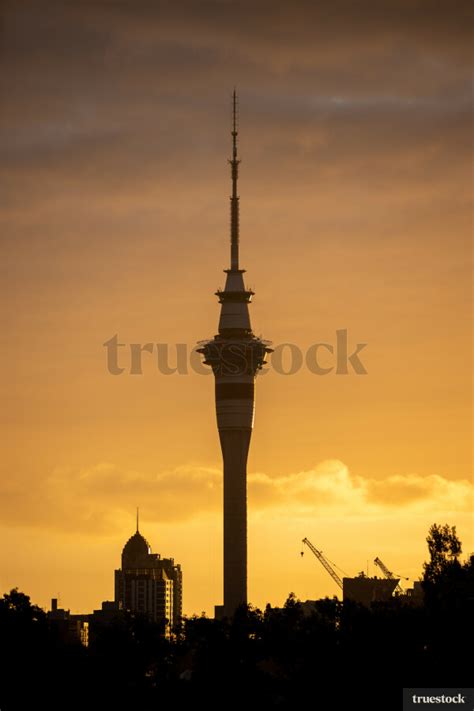 Auckland Sky Tower at Sunrise by Graeme Murray - Truestock