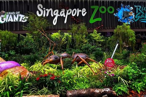 Singapore Zoo Ticket (Compare Price 2022) - Ticket Combo