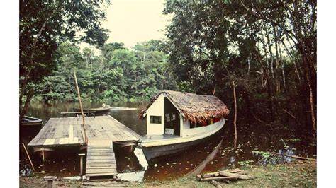 Amazonie péruvienne, - Geo.fr