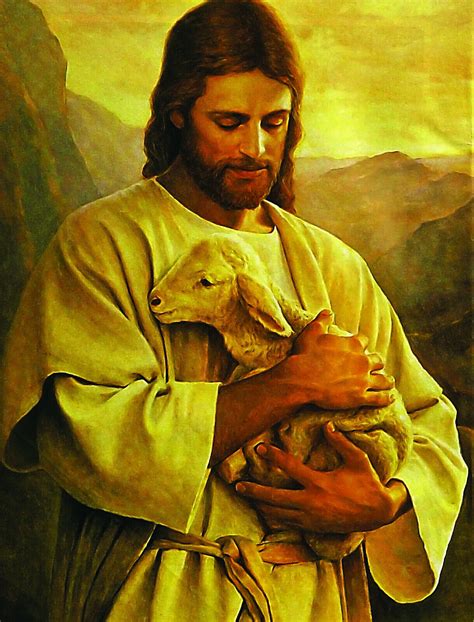 JESUS CHRIST PHOTO BABY LAMB OF GOD LOST SHEEP GOOD SHEPHERD 8.5X11 ...