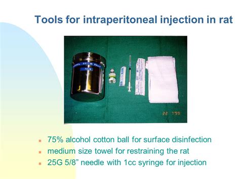 Laboratory Animal Handling Technique - ppt video online download