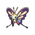 Beautifly Pokédex: stats, moves, evolution & locations | Pokémon Database