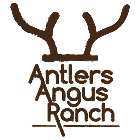 Antlers Angus Ranch - Black Angus Cattle Ranch, Registered Bulls