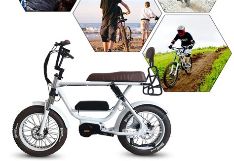 2020 Lithium Battery Super Powered 48v 1000w Aimos 73 Two Seat Ebike / Fat Tire 2 Seater ...