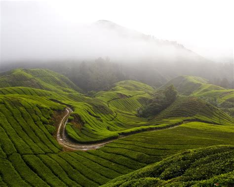 Green mountain landscape 4K wallpaper download