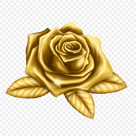 Rose Gold Flower PNG Transparent, Gold Rose Flower, Rose, Flower ...