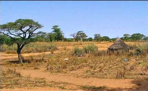 Desertification in the Sahel | Sahel region, Months in a year, Africa