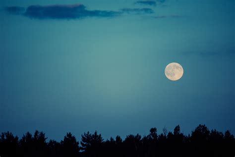 Full Snow Moon, Lunar Eclipse and Comet to Put on a Show – DarkSky ...