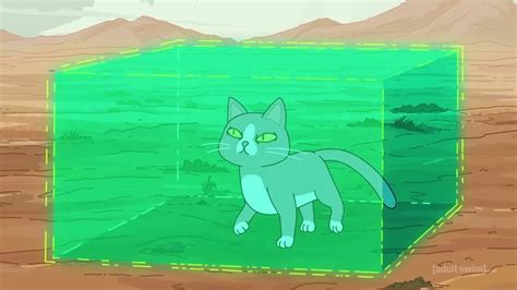 Why can the cat talk in Rick and Morty? | The US Sun