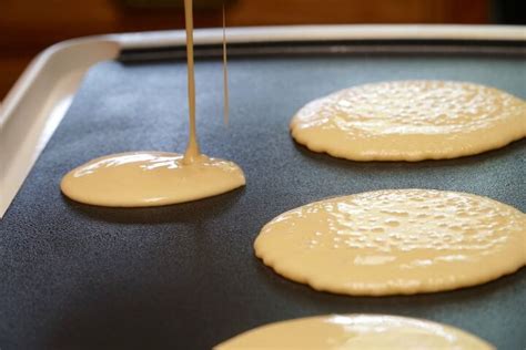 Portable Electric Griddle Vs. Stove Top: Which One Is Better ...