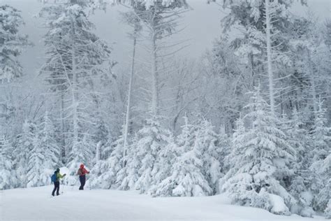 Timberline Mountain - Almost Heaven - West Virginia : Almost Heaven – West Virginia