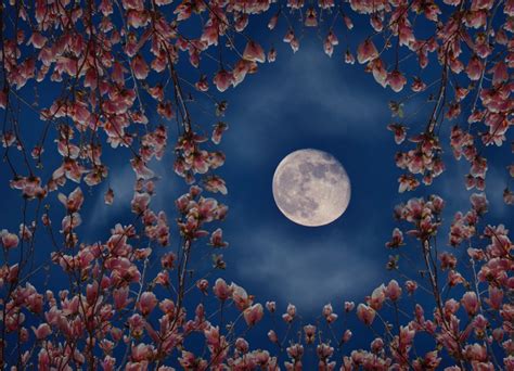 The Ultra-Rare Super Flower Moon Is Gracing The Skies This May