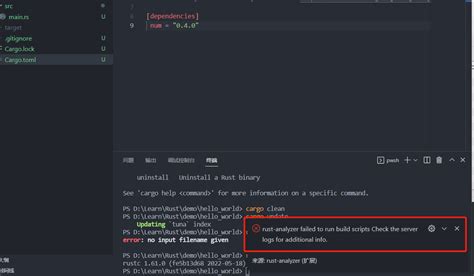 rust-analyzer failed to run build scripts Check the server logs for ...