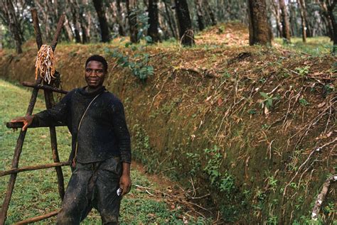 Portrait of Worker on Rubber Plantation, Liberia – Jay Maisel