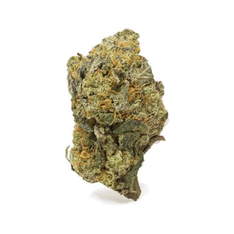 Black Widow – West Coast Botanics