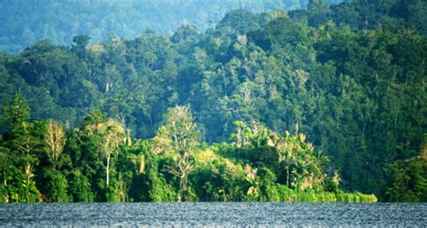 Central Sulawesi : Lore Lindu National Park