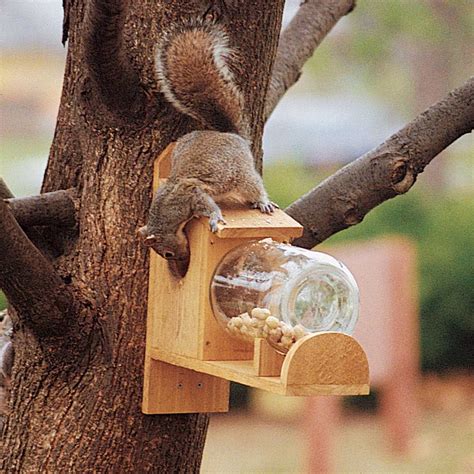 How to Make a Squirrel Feeder | Squirrel feeder diy, Squirrel feeder, Squirrel feeders