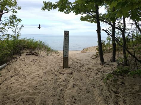 Piping Plover Habitat Protection – Superior Watershed Partnership ...