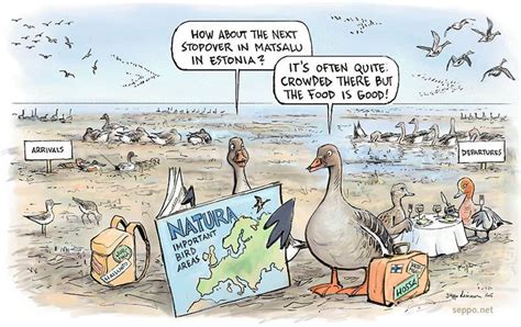 Environmental Cartoons: Click image to close this window | Humor, Climates, Environment