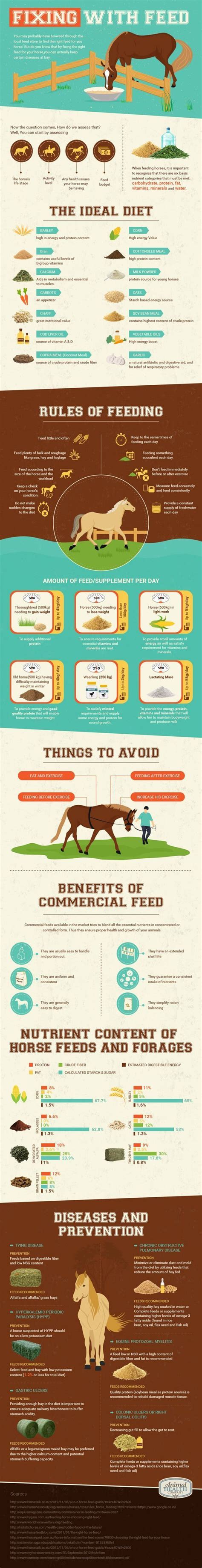 Special thank you to Sasha from Animal Health Company for the informative graphic below on horse ...