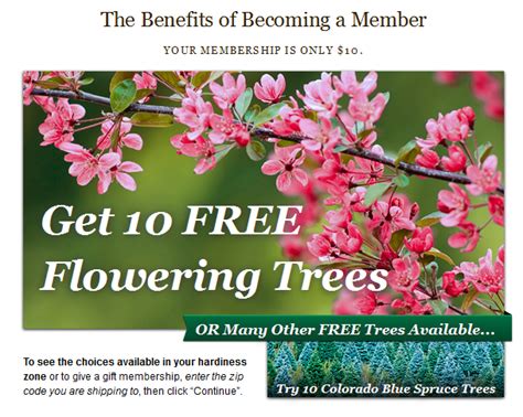 Get 10 FREE Trees When You Sign Up For A Membership To Arbor Day! (Only $10) - Freebies2Deals