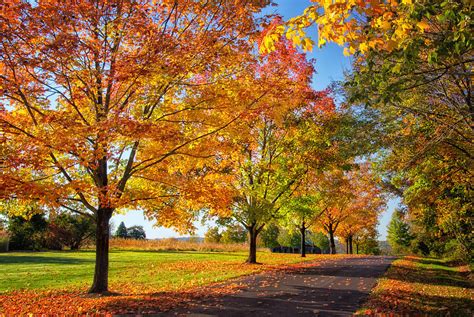 Country Lane in Autumn Photograph by Carolyn Derstine - Fine Art America