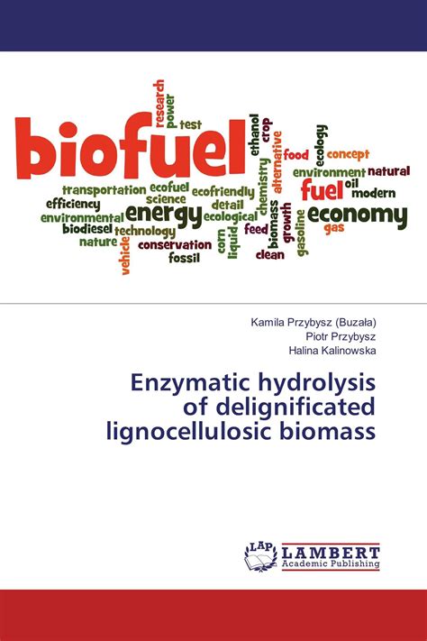 Enzymatic hydrolysis of delignificated lignocellulosic biomass / 978-3 ...