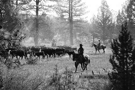 Town of Silver Lake Oregon - The Cowboy Dinner Tree