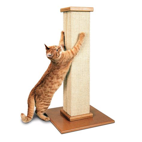 SmartCat Ultimate Scratching Post | Petco