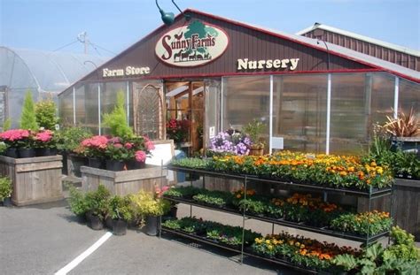 Sunny Farms Nursery and Farm Store – Sequim Daily Photo