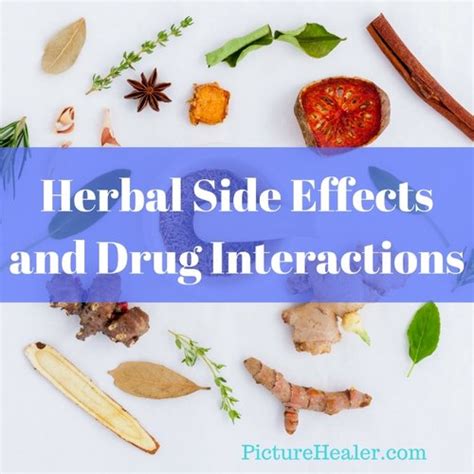 Herbal side effects and drug interactions — Picture Healer - Feng Shui ...