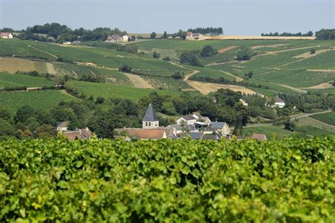 Visiting Sancerre, France: Original Home of the Sauvignon Blanc Grape