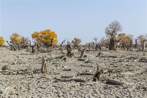 Drought, drought, drought: What mobilizes awareness? | Opinion