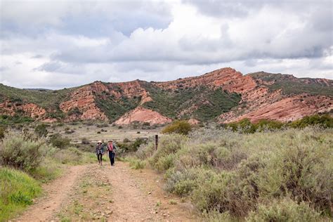 Wilderness Access Days Resume on the Irvine Ranch Natural Landmarks